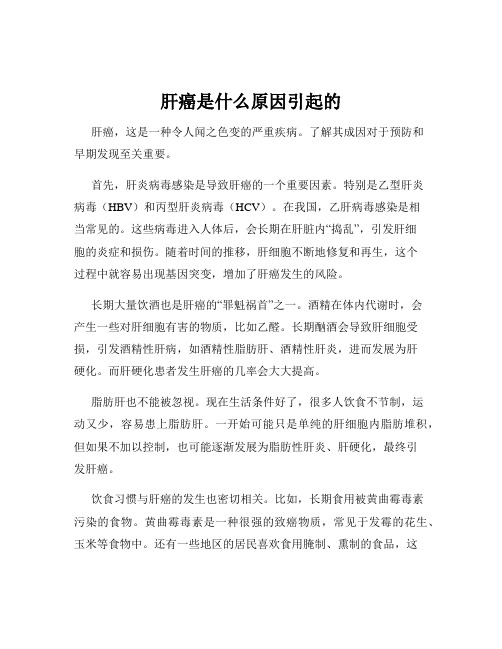 肝癌是什么原因引起的