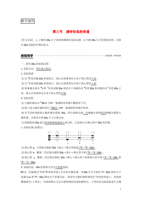 2018-2019学年高中生物第三章遗传的分子基础第三节遗传信息的传递学案浙科版必修