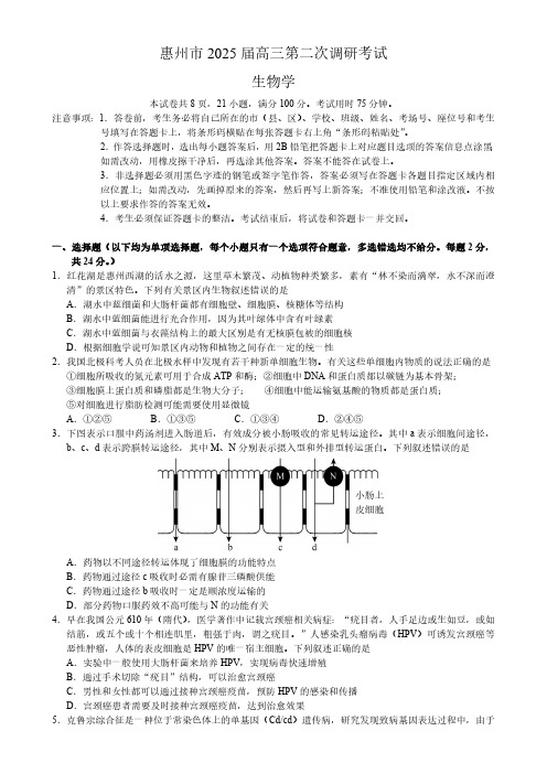 2024-2025学年广东省惠州市高三上学期第二次调研生物试题及答案