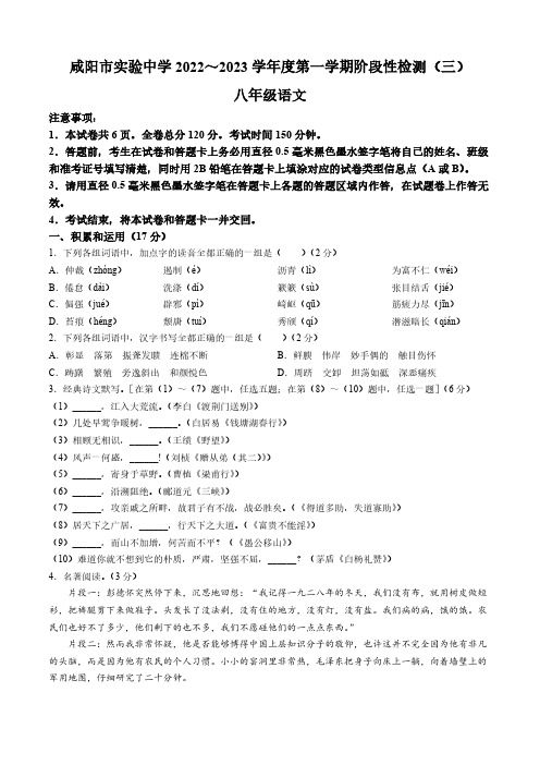 陕西省咸阳市实验中学 2022-2023学年八年级上学期第三次月考语文试题(含答案)