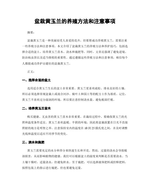 盆栽黄玉兰的养殖方法和注意事项