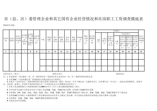 国有企业经营情况和在岗职工工资调查摸底表