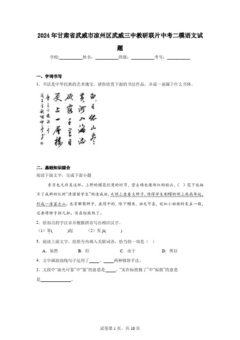 2024年甘肃省武威市凉州区武威三中教研联片中考二模语文试题