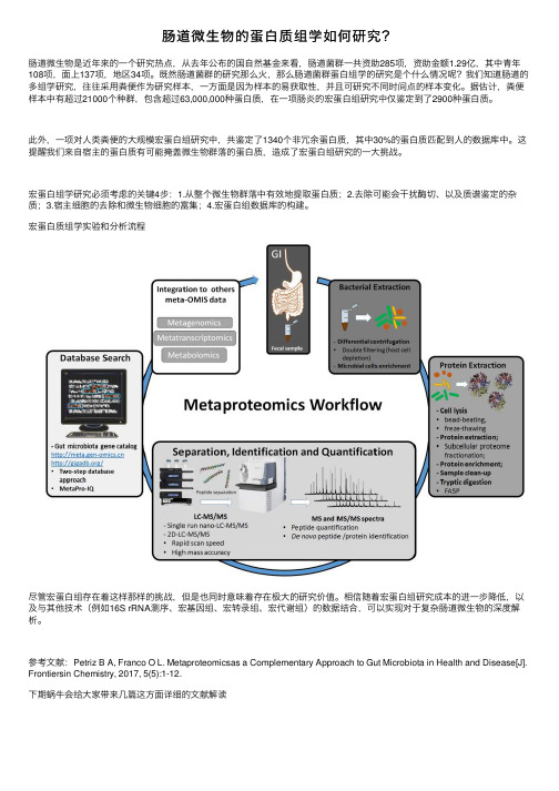 肠道微生物的蛋白质组学如何研究？