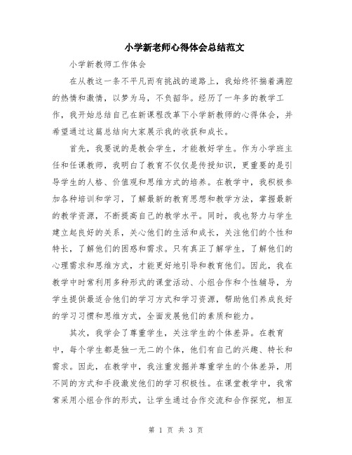 小学新老师心得体会总结范文