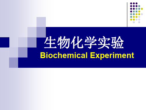 生物化学实验 PPT课件