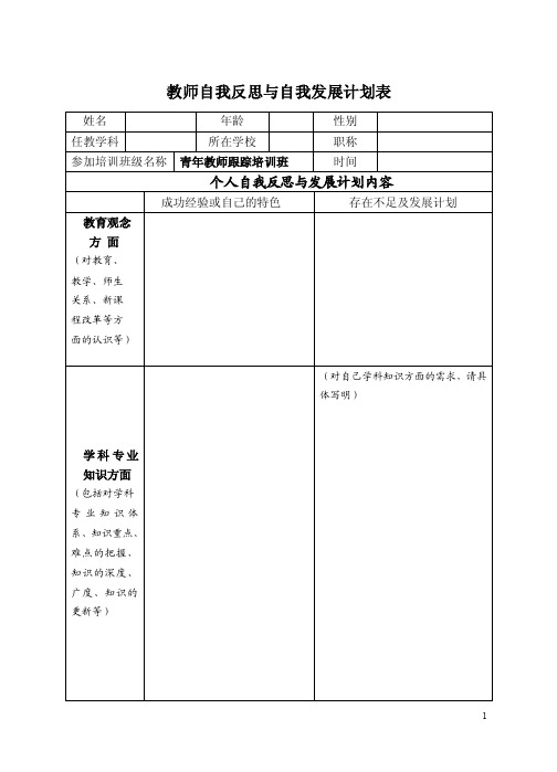 教师自我反思与自我发展计划表