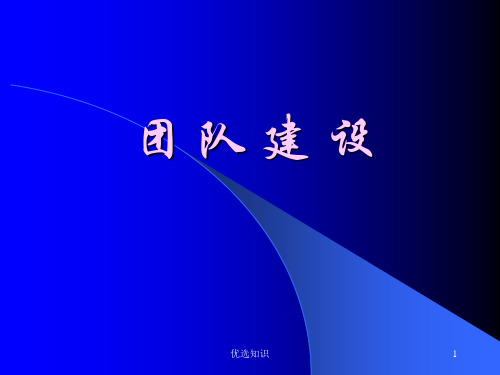 团队建设培训内部培训专用课件(业界精制)