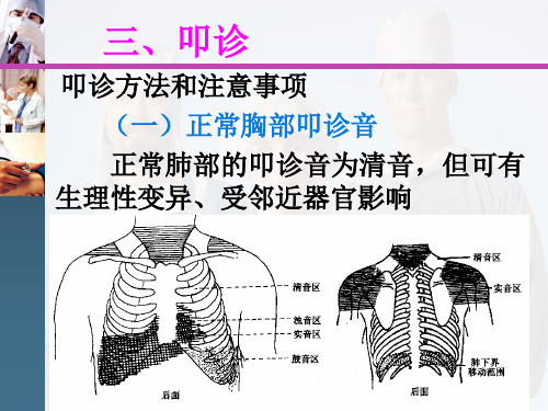 肺部叩、听诊