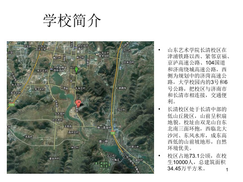 山东艺术学院长清校区校园规划案例分析