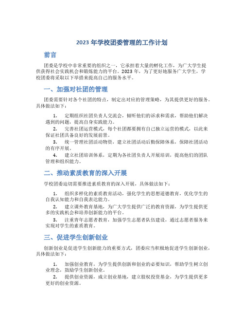 2023年学校团委管理的工作计划