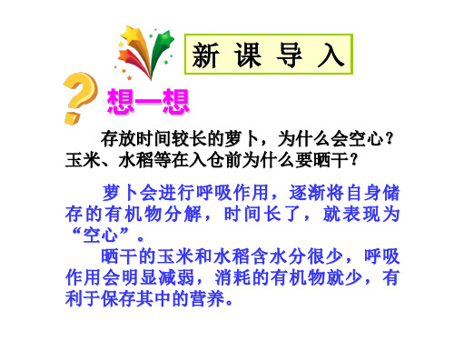 第二节  绿色植物对有机物的利用