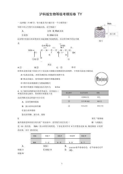 沪科版生物等级考模拟卷(附答案)