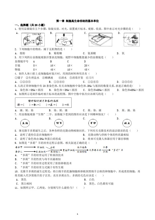 人教版生物七年级上册单元检测卷22.1细胞是生命活动的基本单位