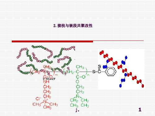 2.接枝、嵌段ppt课件