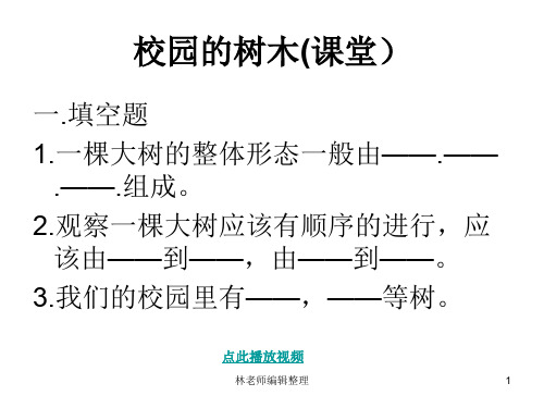 教科小学科学三上《1.2、校园的树木》PPT课件(19)