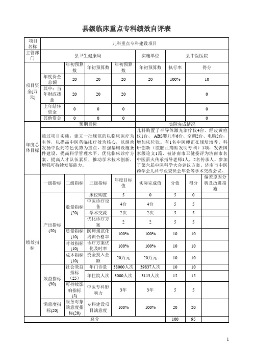 县级临床重点专科绩效自评表