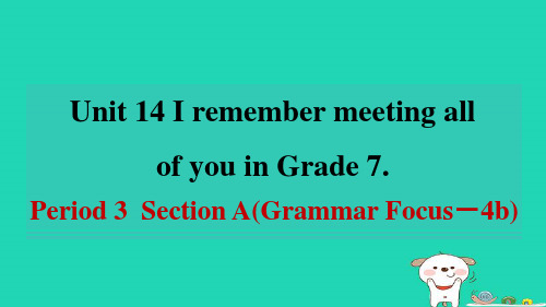 九年级全册Unit14Grade7Period3SectionAGrammarFocus_4b新人教