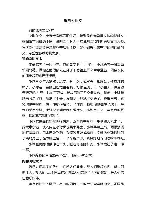 狗的说明文15篇