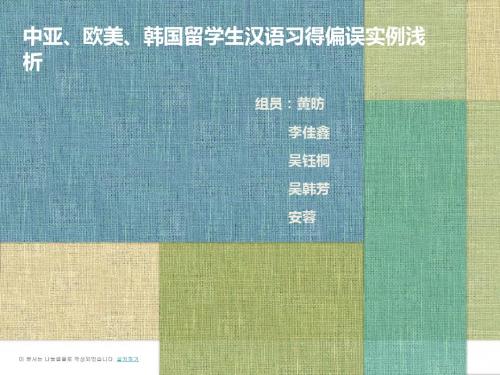 中亚、欧美、韩国汉语习得偏误分析展示