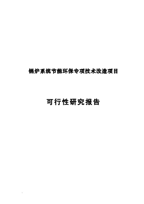 锅炉系统节能环保专项技术改造项目可行性研究报告