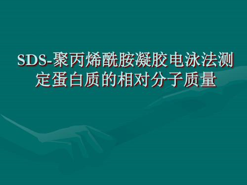 SDS_聚丙烯酰胺凝胶电泳法测定蛋白质的相对分子质量