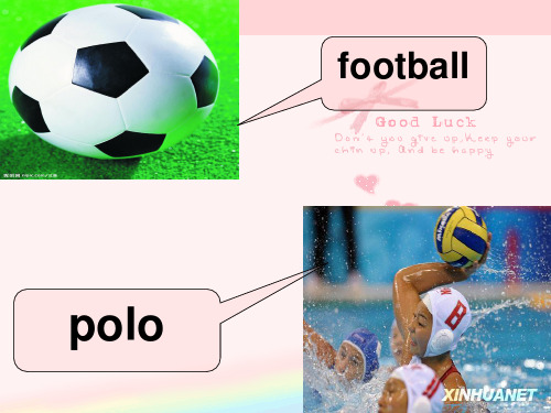 新二lesson 30 Football or polo