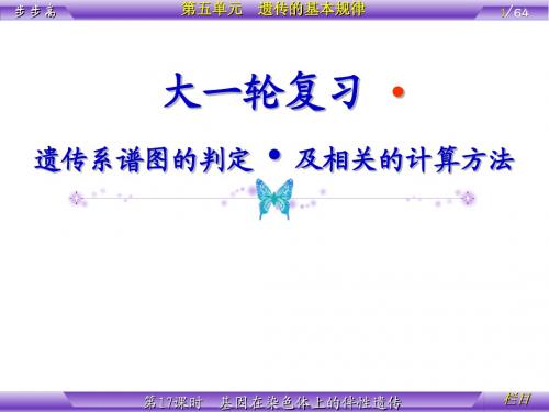 遗传系谱图