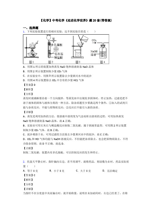 【化学】中考化学《走进化学世界》题20套(带答案)