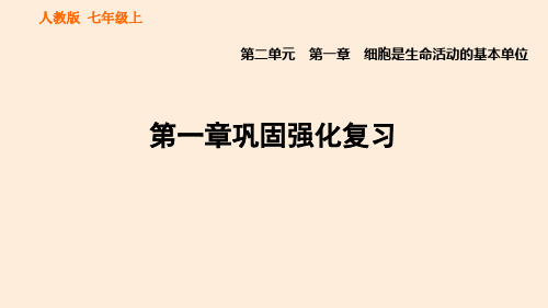 人教版七上生物第二单元：第一章巩固强化复习习题课件