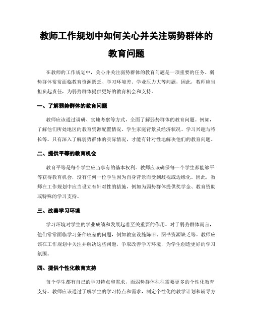 教师工作规划中如何关心并关注弱势群体的教育问题