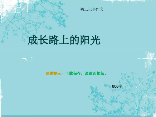 初三记事作文《成长路上的阳光》800字(总11页PPT)