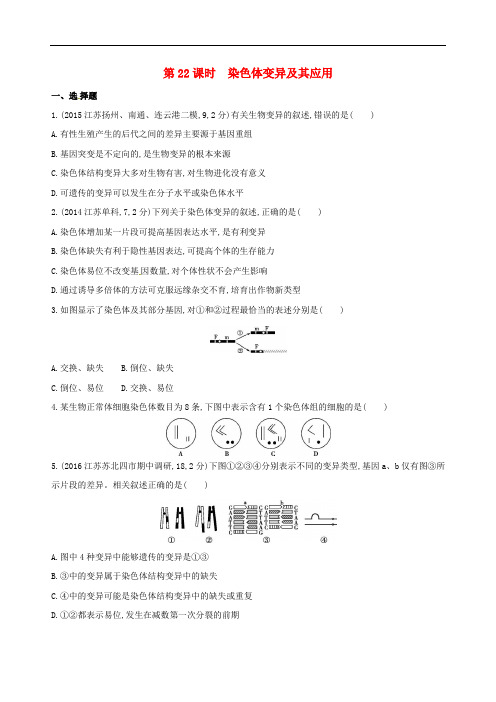 高考生物一轮复习 第六单元 遗传和染色体(第22课时)染