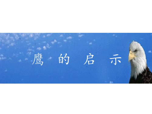 赢在职场经典实用课件改变使你成为最大的赢家