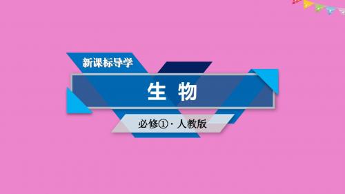 高中生物第六章细胞的生命历程第3节细胞的衰老和凋亡第4节细胞的癌变课件新人教版必修1