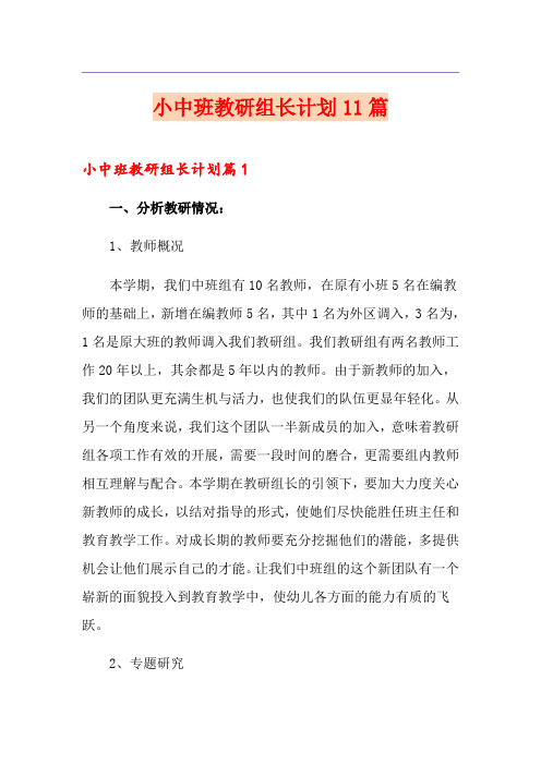 小中班教研组长计划11篇