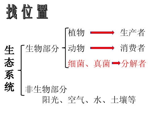 人教版生物八年级上册《真菌和细菌在自然界中的作用》课件