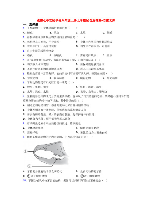 成都七中实验学校八年级上册上学期试卷及答案-百度文库