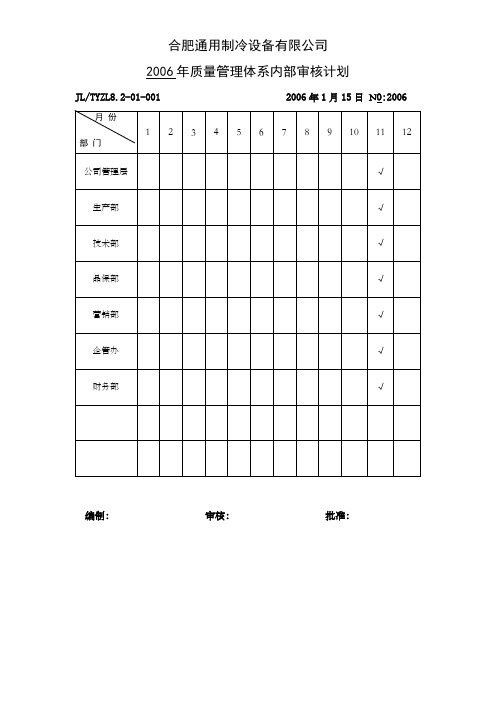 简单的年度内审计划