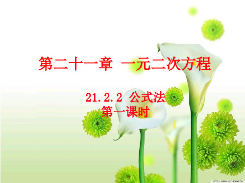 21.2.2公式法(第一课时)