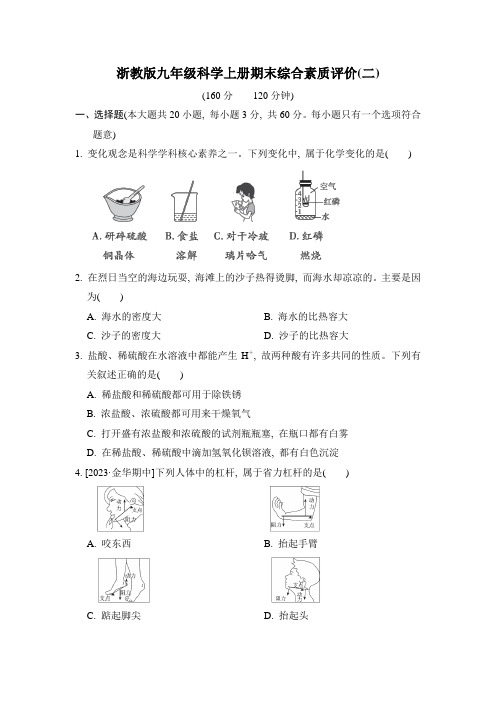 浙教版九年级科学上册期末综合素质评价附答案 (2)