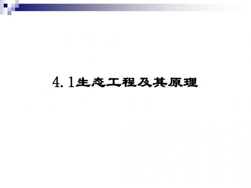 苏教版选修三 4.1 生态工程及其原理 课件(30张)