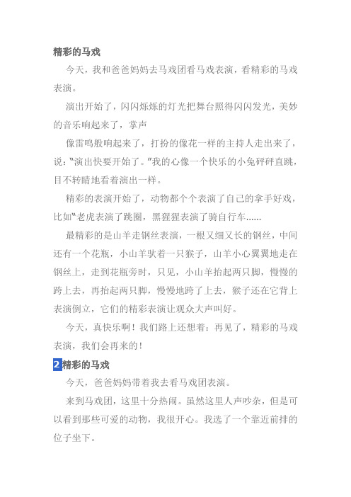 精彩的马戏二年级作文