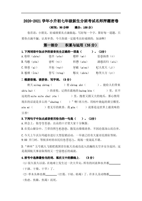 2020-2021学年小升初语文七年级新生分班考试名师押题密卷(三)(部编版,含答案)(1)