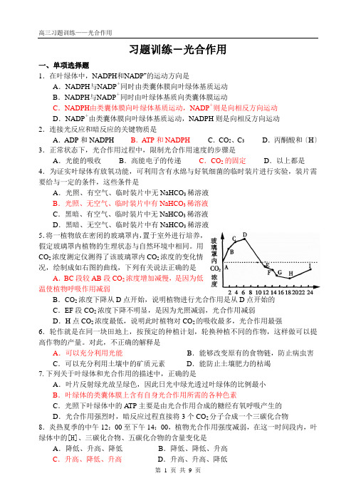 高三生物习题训练《光合作用》