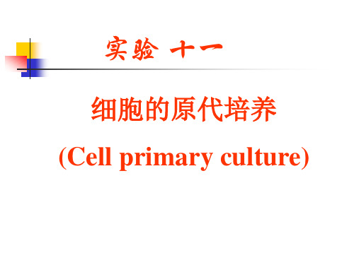 细胞的原代培养(Cell primary culture)