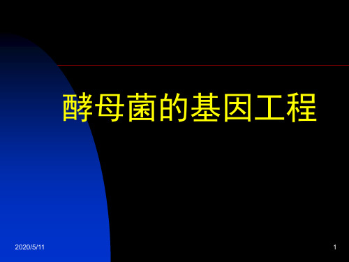 酵母菌中表达外源蛋白的优势