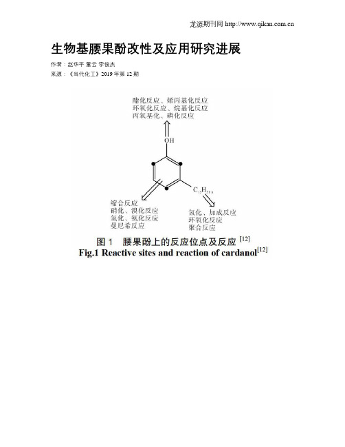 生物基腰果酚改性及应用研究进展