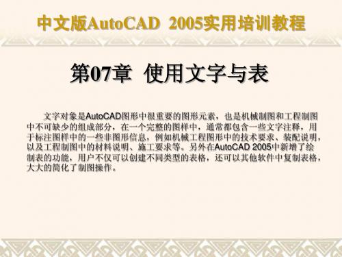 中文版AutoCAD 2005实用培训教程第07章 使用文字与表简明教程PPT课件