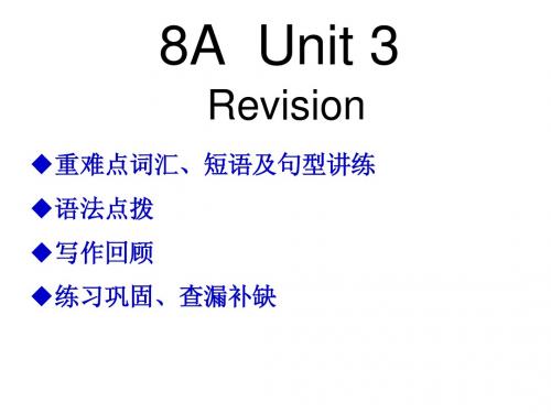 牛津中考英语第一轮复习8A  Unit 3